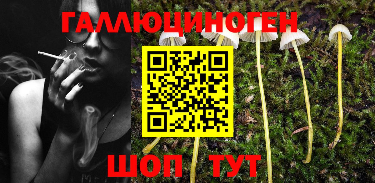 продажа наркотиков  Вход с VPN  Зеленогорск  Галлюциногенные грибы мицелий 