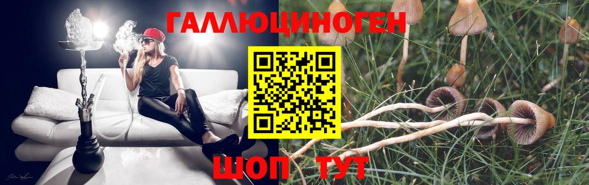Галлюциногенные грибы Magic Shrooms Зеленогорск